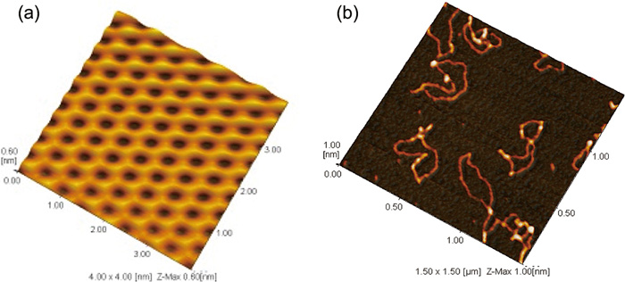 SPM による高分解能観察例