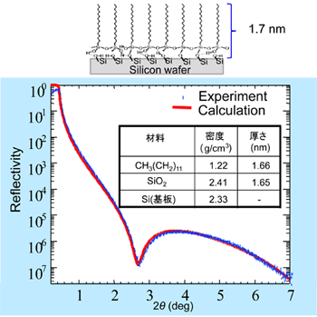 図６　有機単分子膜の分子モデルと反射率測定結果