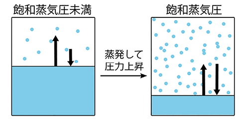 飽和蒸気圧