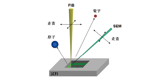 図4 FIB-SEM