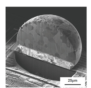 図5 半田ボールの断面SIM 写真