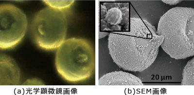 走査電子顕微鏡(SEM)の原理と応用 | JAIMA 一般社団法人 日本分析機器 ...