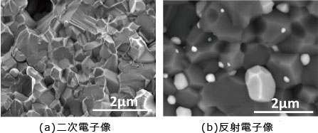 図7 二次電子像と反射電子像の例(試料:アルミナ/ ニッケル複合材料)
