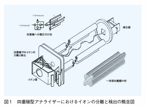 四重極型アナライザーにおけるイオンの分離と検出の概念図