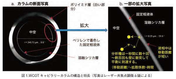 WCOTキャピラリーカラムの構造と特長