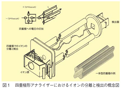 四重極型アナライザーにおけるイオン分離と検出の概念図