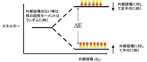 核磁気共鳴装置の原理と応用 | JAIMA 一般社団法人 日本分析機器工業会