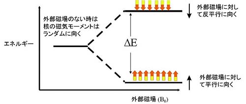 ゼーマン分裂