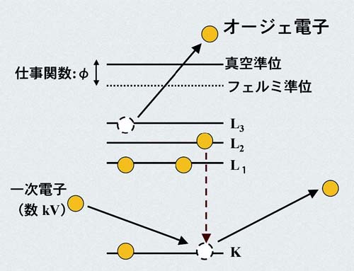 オージェ電子放出過程