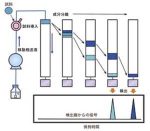 HPLCにおける分離の様子