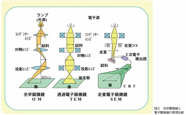 光学顕微鏡と電子顕微鏡の原理比較