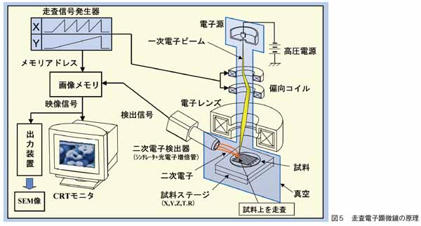 走査電子顕微鏡の原理