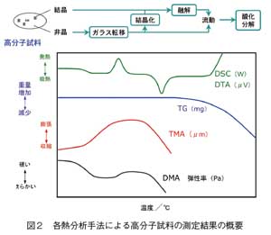 各熱分析手法による高分子試料の測定結果の概要