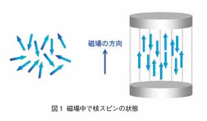 磁場中での核スピンの状態