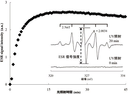 図5 UV 照射により観測されたESR 信号