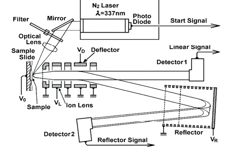 図2 市販のMALDI-T0F-MS の構成図度