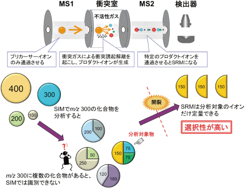 選択反応検出（SRM）法の原理