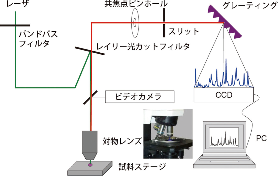 図3 共焦点顕微ラマン分光装置の構成図