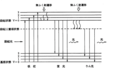 図1 分子エネルギー準位の模式図