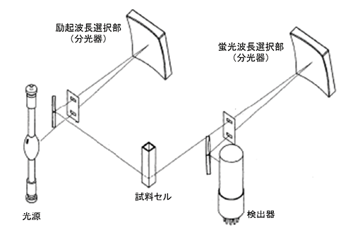 図2 分光蛍光光度計の構成例