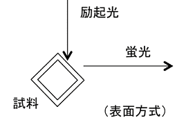 図3 蛍光光度法の測光方式