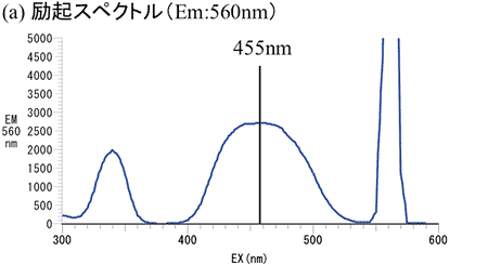 図4 励起・蛍光スペクトル