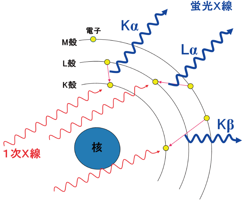 図1 蛍光X 線の発生