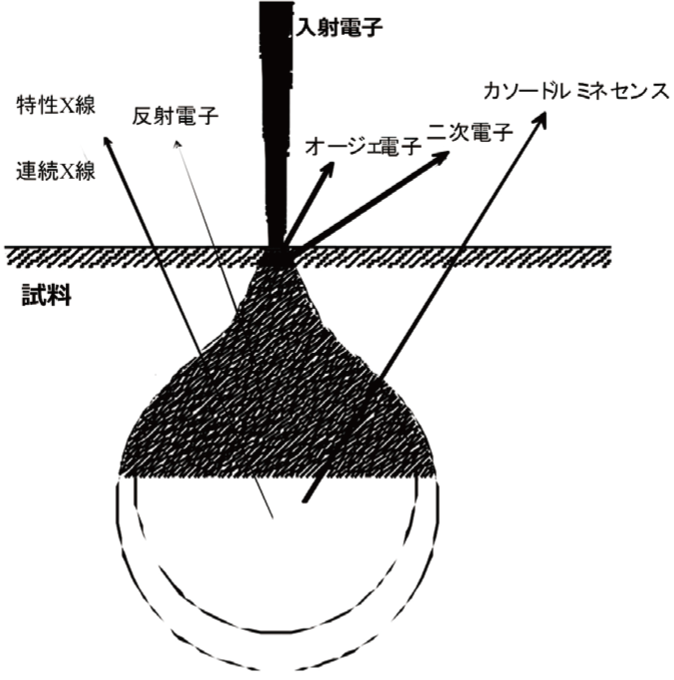 図1 電子線入射で得られる主な情報