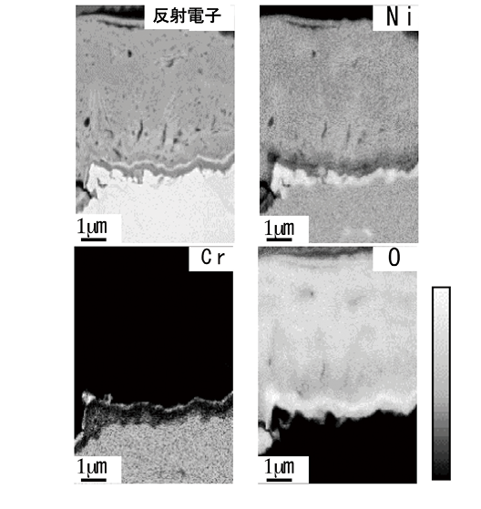 図4 FE-EPMA 面分析例(高温腐食したNi 基合金断面)