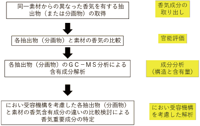 図5 におい受容機構を考慮した素材の複合臭の解析 (香気プロフィール解析) の手順