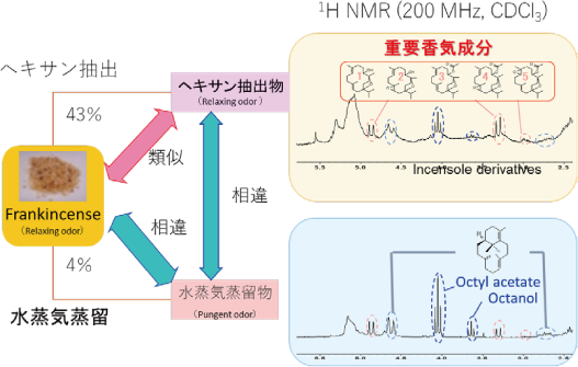 図8 乳香 (Frankincense) のヘキサン抽出物と水蒸気蒸留物の香気と成分の1H NMR による比較