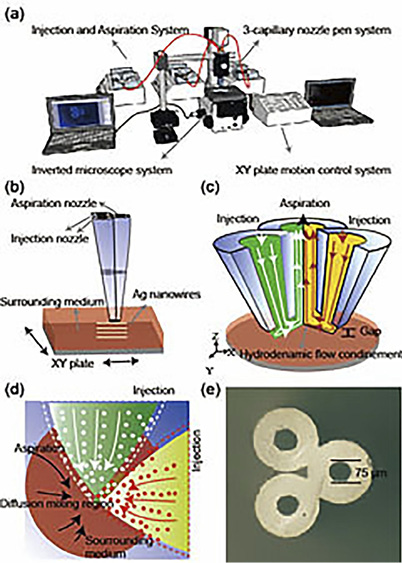 図１The scheme of nanowire fabrication by TNPS, (a) construction of TNPS, (b) Fabrication of nanowires by TNPS with x y stage, (c) flow streams formed by the injection and aspiration nozzles. (d) bottom view of the flow streams and diffusion mixing region. (e) The mesa of the nozzles.