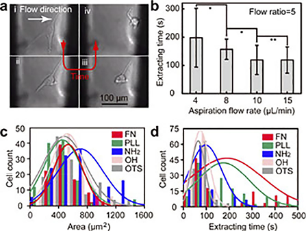 図5 Cell-matrix adhesion measurement for the evaluation of biomaterials. (a) Cell-matrix adhesion measurement by extracting a single cell from the biomaterials. (b) The influence of low rates on extracting time. *p<0.05, **p>0/.05, one sided Student t test. (c) Distributions of single cells spreading area ion various. 