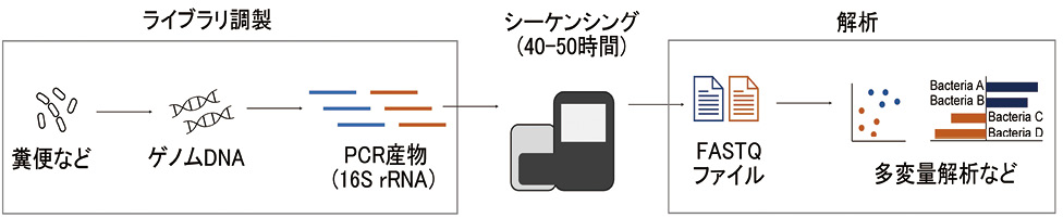 図1. 一般的なメタ16S解析の概要