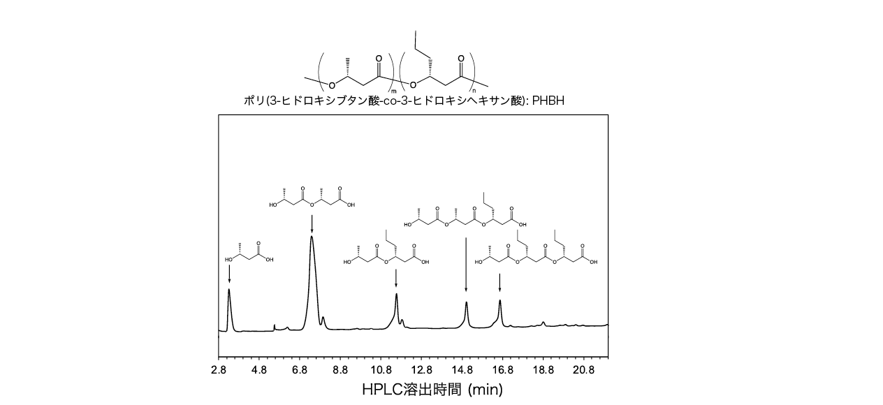 図２. バイオポリエステルPHBH の酵素分解生成物のHPLC 溶出曲線