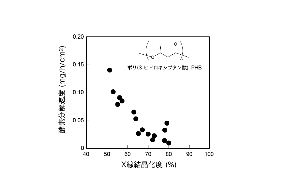 図３. バイオポリエステルPHB の酵素分解速度に及ぼす結晶化度の効果