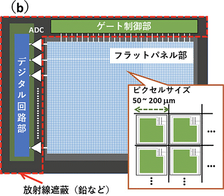 図１(b) 開発した FPD の模式図