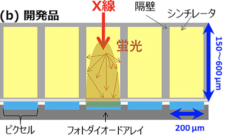 図２　間接変換型 FPD の従来品 (a) と隔壁を利用した開発品(b) の違い（断面図）