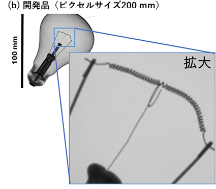 図３　電球のＸ線画像の比較；(a) 従来品の FPD、(b) 開発品の FPD（ピクセルサイズはともに 200 µm）