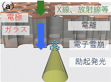 図４　 (a)GEM を用いた X 線二次元検出器の概要、(b)GEMによる X 線検出の模式図、(c) 開発した GEM による低エネルギー X 線イメージング結果の例（例：昆虫）。