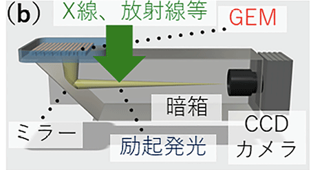 図４　 (a)GEM を用いた X 線二次元検出器の概要、(b)GEMによる X 線検出の模式図、(c) 開発した GEM による低エネルギー X 線イメージング結果の例（例：昆虫）。