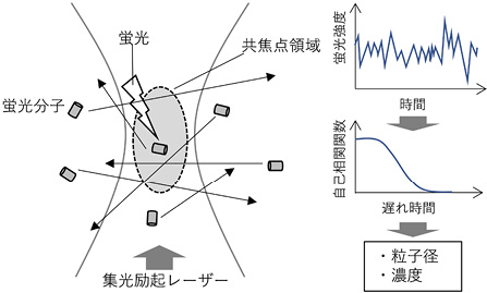 図４　FCS の原理