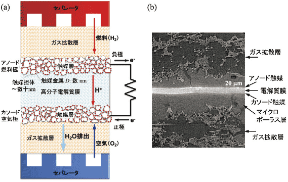 
燃料電池セルの (a) 模式図および (b) CT 断層像