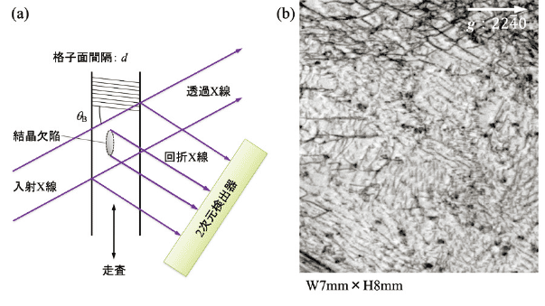 図８(a) X 線トポグラフにより、結晶欠陥が可視化される概念図、(b) Lang 法により測定した4H SiC 基板のトポグラフ像。
トポグラフ像には、結晶内部の多数の転位が写っている。