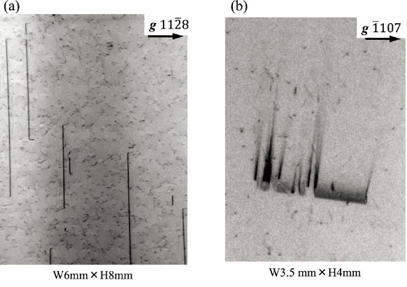 図9 4H SiC のSi 面に厚さ10 μmのエピタキシャル膜を成膜した試料の反射トポグラフ像、(a) 1128 反射および(b)1107 反射像。前者には、エピタキシャル膜界面における格子定数の差によるミスフィット転位(縦長の黒い線)が、後者には、エピタキシャル膜内部に積層欠陥(黒い面上の領域)が観測されている。