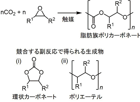 図１CO2 とエポキシドの交互共重合による脂肪族ポリカーボネート合成と副生成物