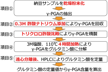 図１　開発した納豆中γ-PGA定量法