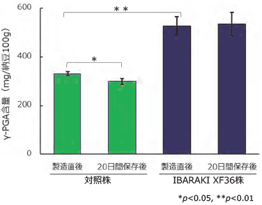 図２　IBARAKI XF36株を用いた納豆のγ-PGA