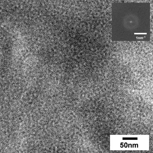 図2  Silicone Hydrogel の透過型電子顕微鏡観察結果及びフーリエ変換により得られた二次元像