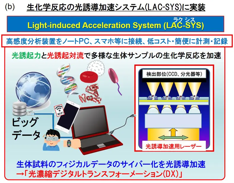 (b)光濃縮を利用した生化学反応の光誘導加速システム(LAC-SYS)と次世代のバイオ分析DX プラットフォームのイメージ